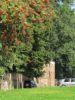Tage2011_08.jpg