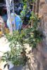 Tage2011_29.jpg